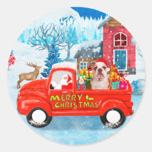 Englische Bulldogge im Weihnachtslieferwagen Schne Runder Aufkleber