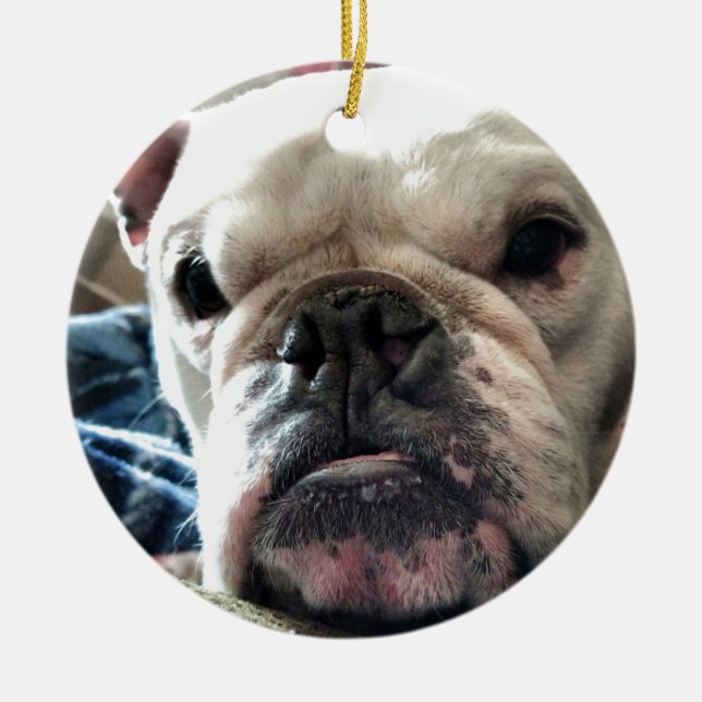 Englische Bulldogge Keramik Ornament (Vorne)
