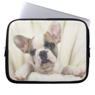Englische Bulldogge Laptopschutzhülle