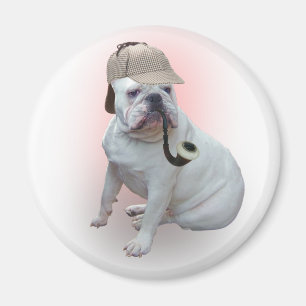 Englische Bulldogge Magnet