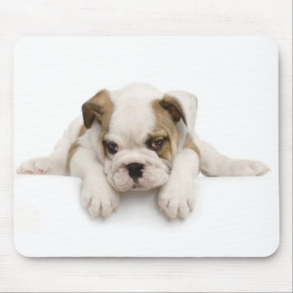 Englische Bulldogge Mousepad