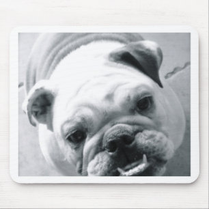 Englische Bulldogge Mousepad