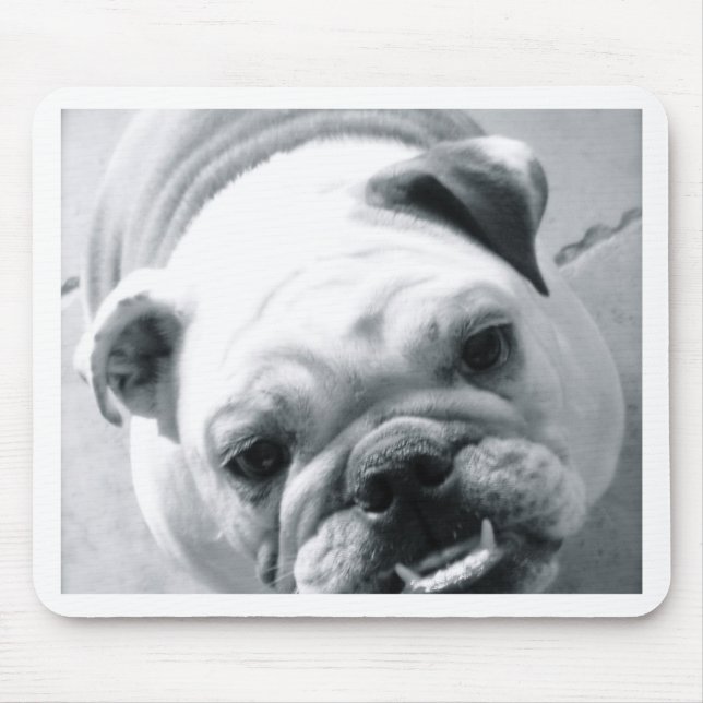 Englische Bulldogge Mousepad (Vorne)