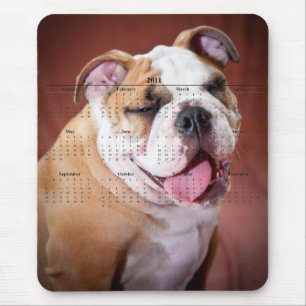 Englische Bulldogge Mousepad