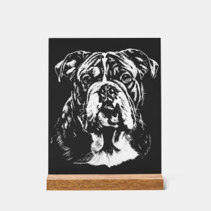 Englische Bulldogge-Porträt Minimalistische Beklei Acrylschild