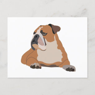 Englische Bulldogge-Porträt Postkarte
