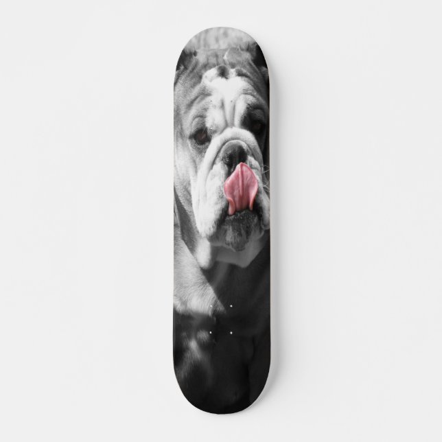 englische Bulldogge Skateboard (Vorne)