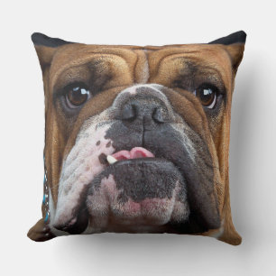 Englische Bulldogge Wurf Kissen