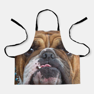 Englische Bulldogge Wurf Kissen Schürze