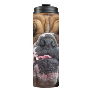 Englische Bulldogge Wurf Kissen Thermosbecher