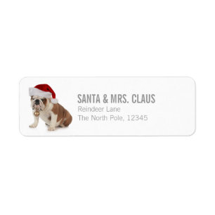 Englische Bulldoggen-tragende Weihnachtsmannmütze