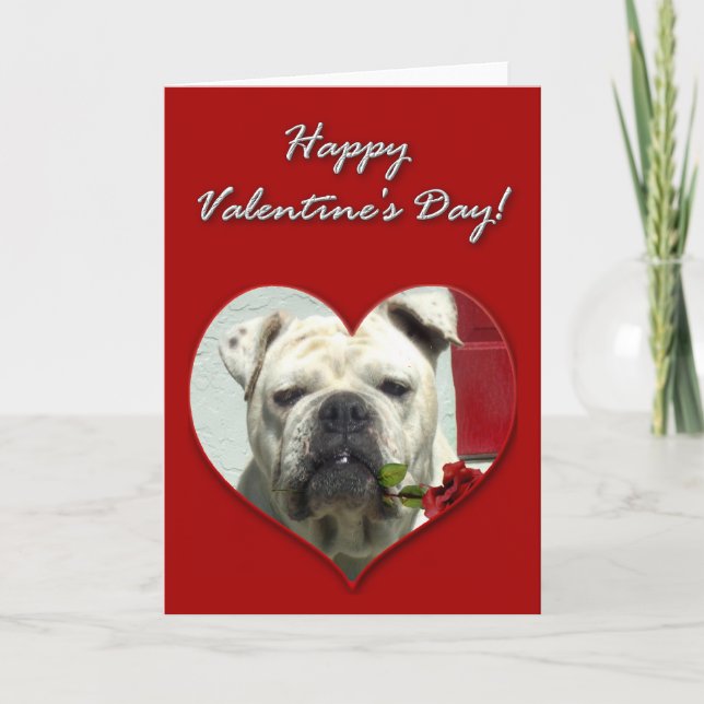 Englische Bulldoggen-Valentinstag-Karte Feiertagskarte (Vorderseite)