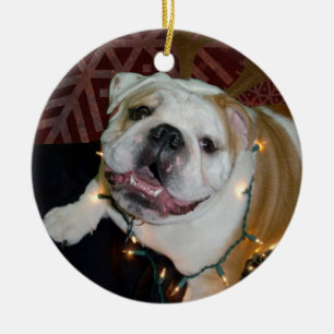 Englische Bulldoggen-Weihnachtsverzierung Keramikornament