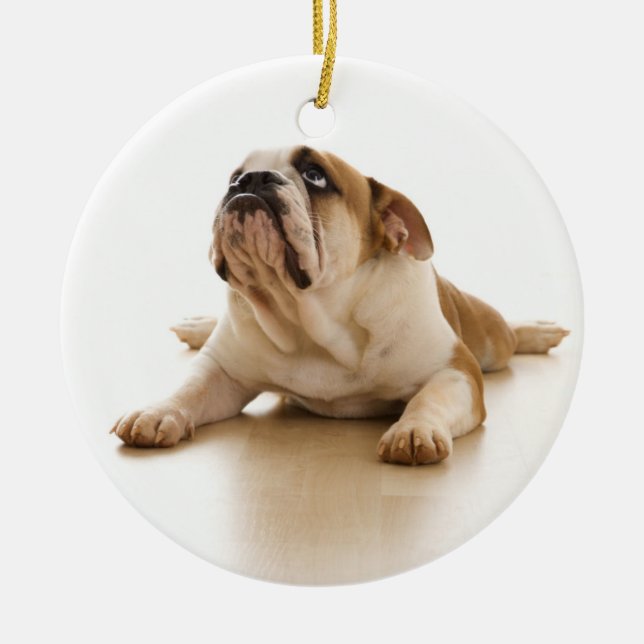 Englische Bulldoggen-Weihnachtsverzierung Keramikornament (Vorne)