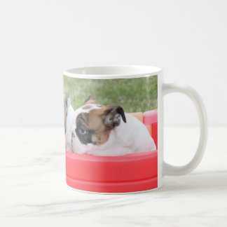 Englische Bulldoggen-Welpen in einem Lastwagen Kaffeetasse