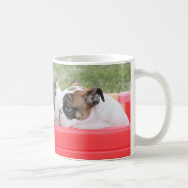 Englische Bulldoggen-Welpen in einem Lastwagen Kaffeetasse (Rechts)
