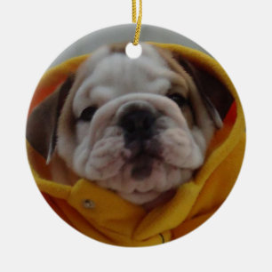 Englische Bulldoggen-Welpen-Verzierung Keramik Ornament