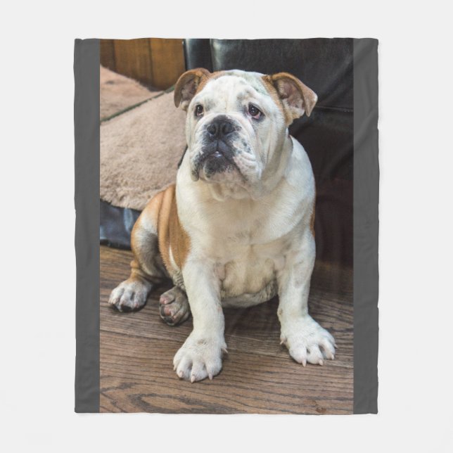 Englische Bulldoggendecke Fleecedecke (Vorderseite)