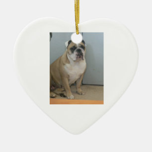 Englische Bulldoggenverzierungen Keramik Ornament