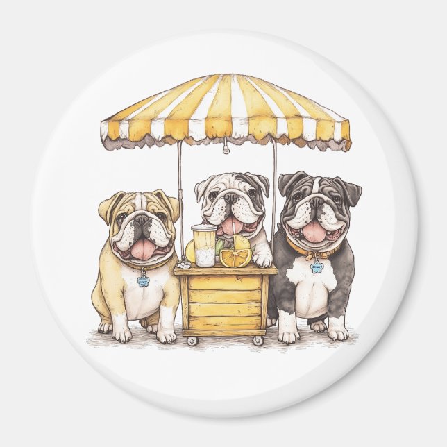 Englische Bullhunde laufen auf einer Limonade Magnet (Vorne)