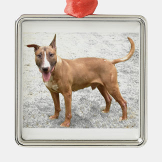 Englische Bullterrier-Verzierung Silbernes Ornament