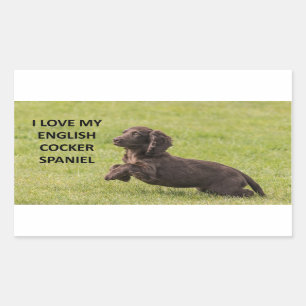 englische Cocker spaniel Liebe mit Bild Rechteckiger Aufkleber