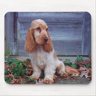 Englische Cockerspaniel-Spaniels Mousepad