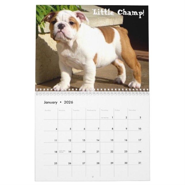 Englische Druckkalender der Bulldoggen-2014 Kalender (Jan 2026)