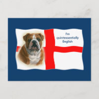 Englische Flagge und Bulldog Postkarte