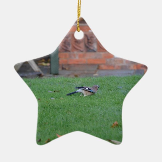 Englische Jay Keramikornament (Vorne)