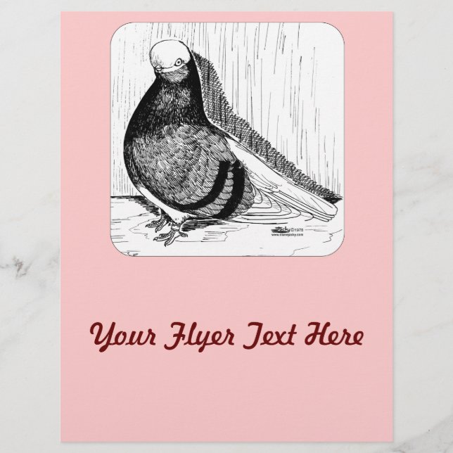 Englische Kurztaube 1978 Flyer (Vorne)