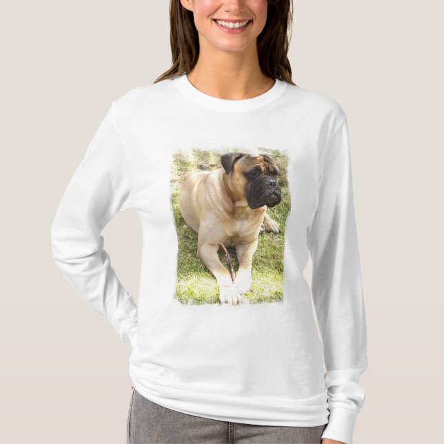 Englische Mastiff-Damen-langer Hülsen-T - Shirt (Vorderseite)
