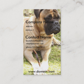 Englische Mastiff-HundeVisitenkarte Visitenkarte