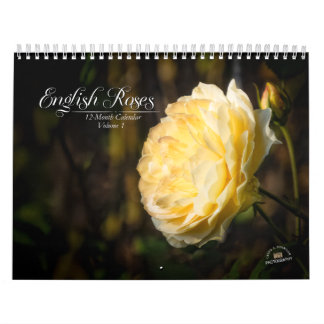 Englische Rose 12-monatiger Kalender