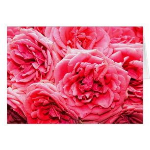 Englische Rose Bouquet