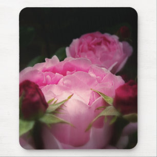 Englische Rosen im Rosa Mousepad