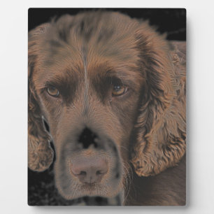 Englische Springer Hunde Fotoplatte