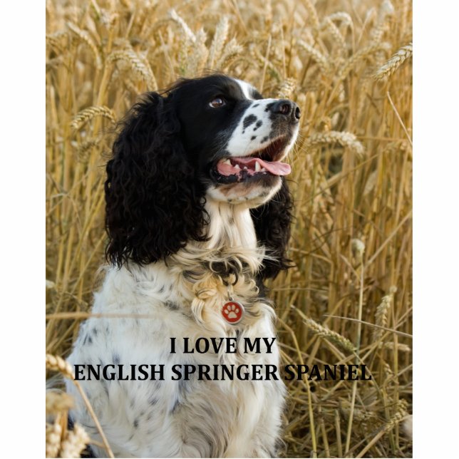 englische springer spaniel bwlove w pic fotoskulptur schlüsselanhänger (Vorne)