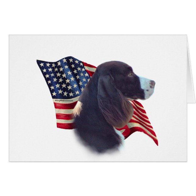 Englische Springer-Spanischflagge (Vorderseite (Horizontal))