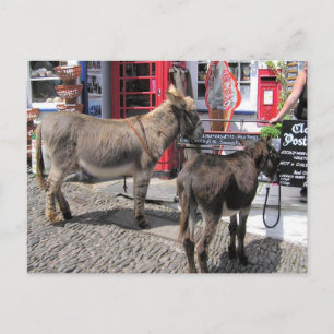 Englische Szenen, Donkeys in Clovelly, North Devon Postkarte