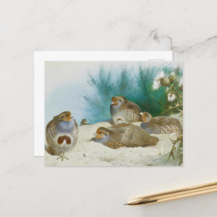 Englische Villa mit Schlucht und Diebstahl, Kunst Postkarte