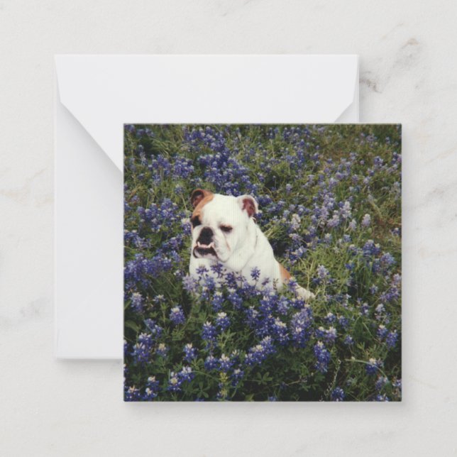 Englischer Bulldog in Texas Bluebonnets Note Card Mitteilungskarte (Vorderseite)