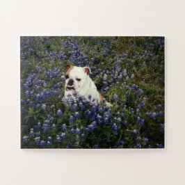 Englischer Bulldog in Texas Bluebonnets Puzzle