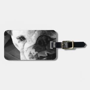 Englischer Bulldoggen-Schwarzweiss-Welpe Gepäckanhänger
