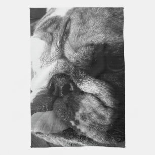 Englischer Bulldoggen-Schwarzweiss-Welpe Geschirrtuch