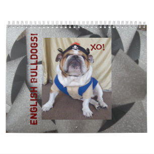 Englischer Bulldoggen-u. Welpen-Kalender! Kalender