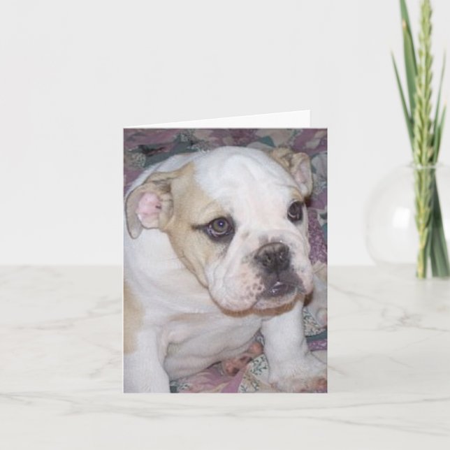 Englischer Bulldoggen-Welpe Notecard Karte (Vorderseite)