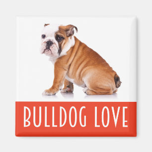 Englischer Bulldoggen-Welpen-Hundeliebe Magnet