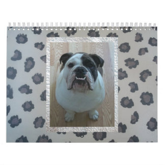 Englischer Bulldoggenkalender! Kalender