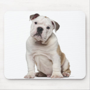 Englischer Bulldoggenwelpe (2 Monate alte) Mousepad